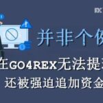一汇友爆料称其在GO4REX平台被骗8000多美元